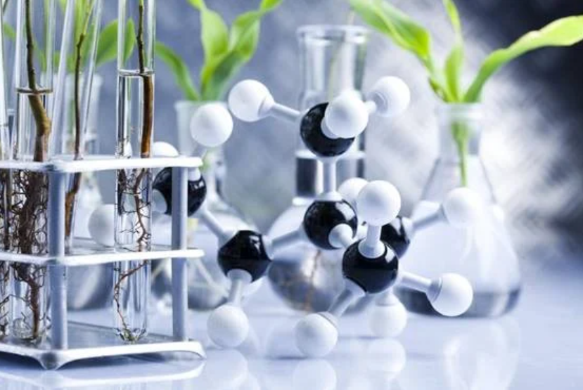 Applications of Click Chemistry in Plant Science